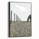 Peaceful Horse Grazing Wall Art | Rustic Farmhouse Decor for Country Homes