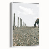 Peaceful Horse Grazing Wall Art | Rustic Farmhouse Decor for Country Homes