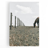 Peaceful Horse Grazing Wall Art | Rustic Farmhouse Decor for Country Homes