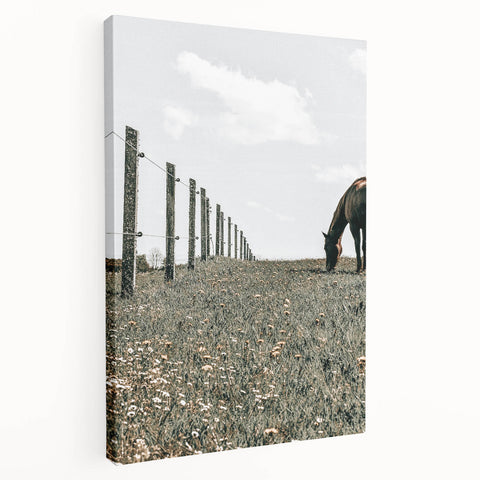 Peaceful Horse Grazing Wall Art | Rustic Farmhouse Decor for Country Homes