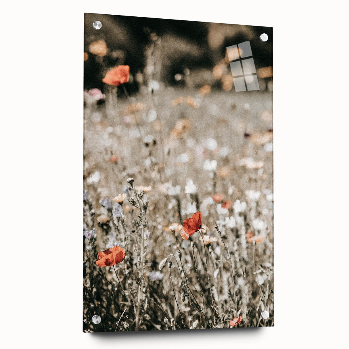 Wildflower Meadow Wall Art | Rustic Farmhouse Decor for Nature Lovers