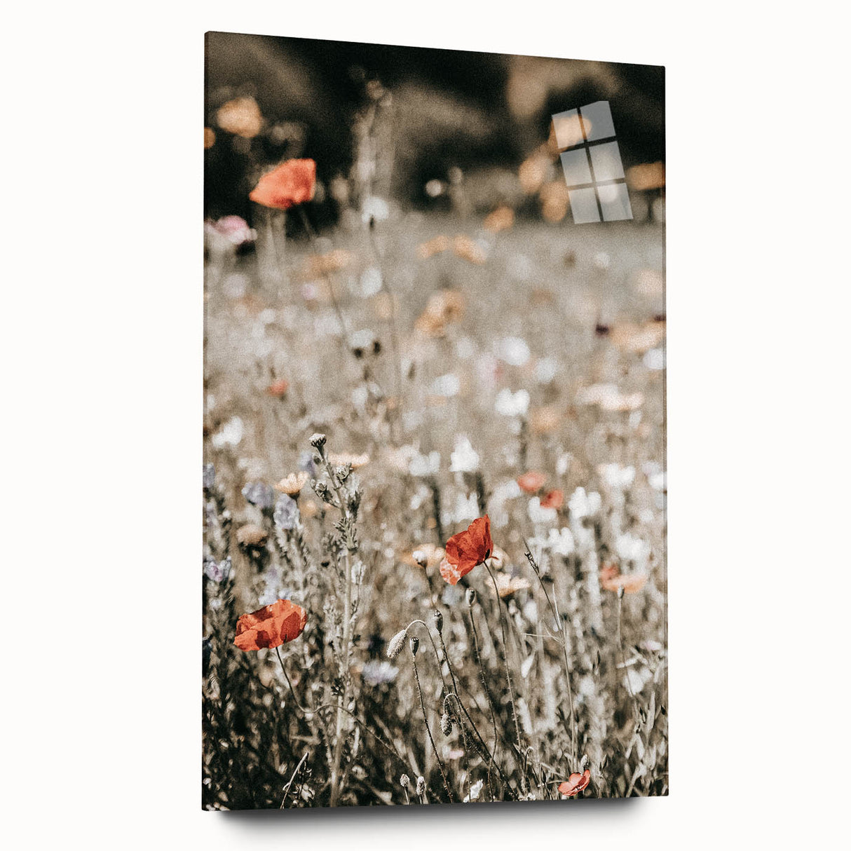 Wildflower Meadow Wall Art | Rustic Farmhouse Decor for Nature Lovers