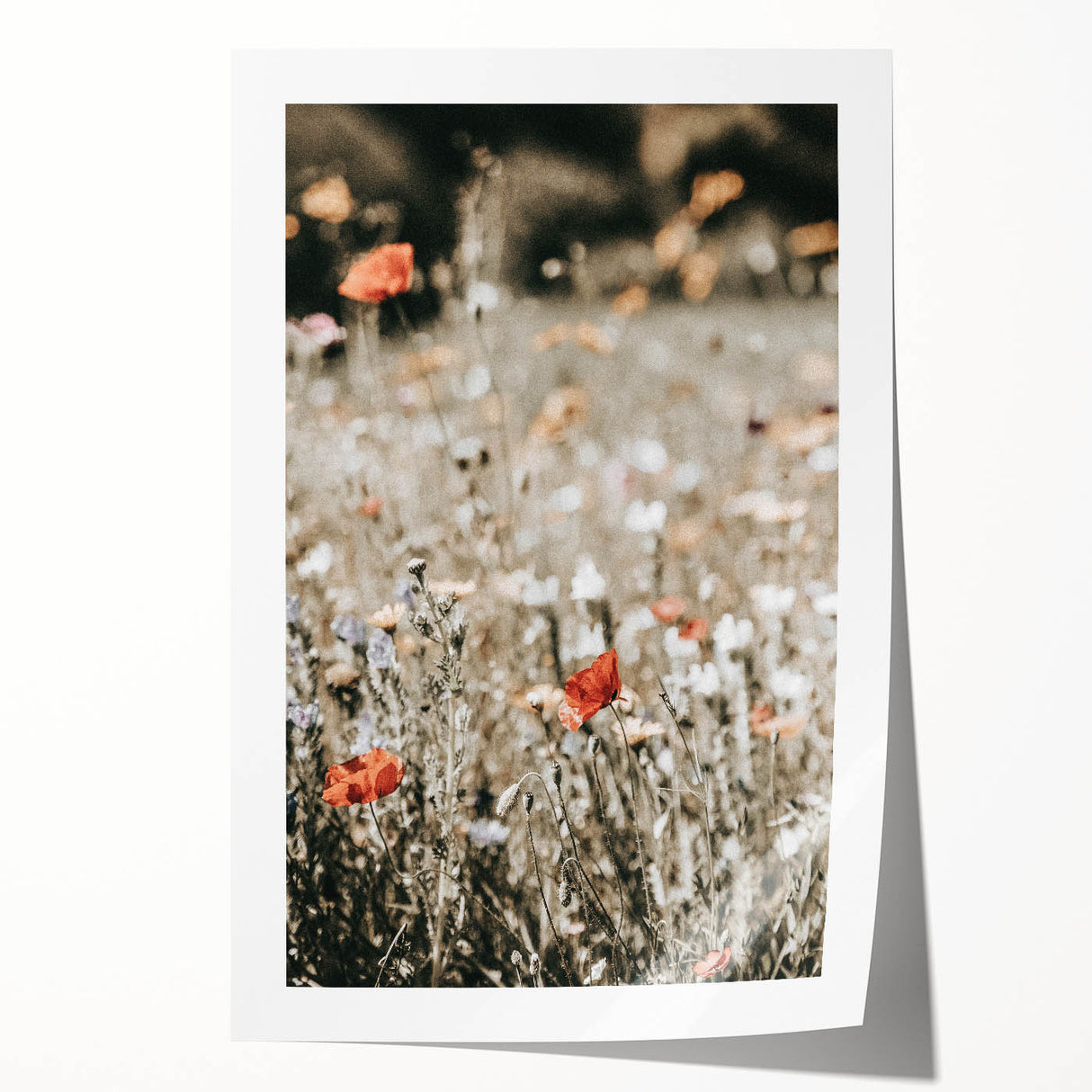 Wildflower Meadow Wall Art | Rustic Farmhouse Decor for Nature Lovers