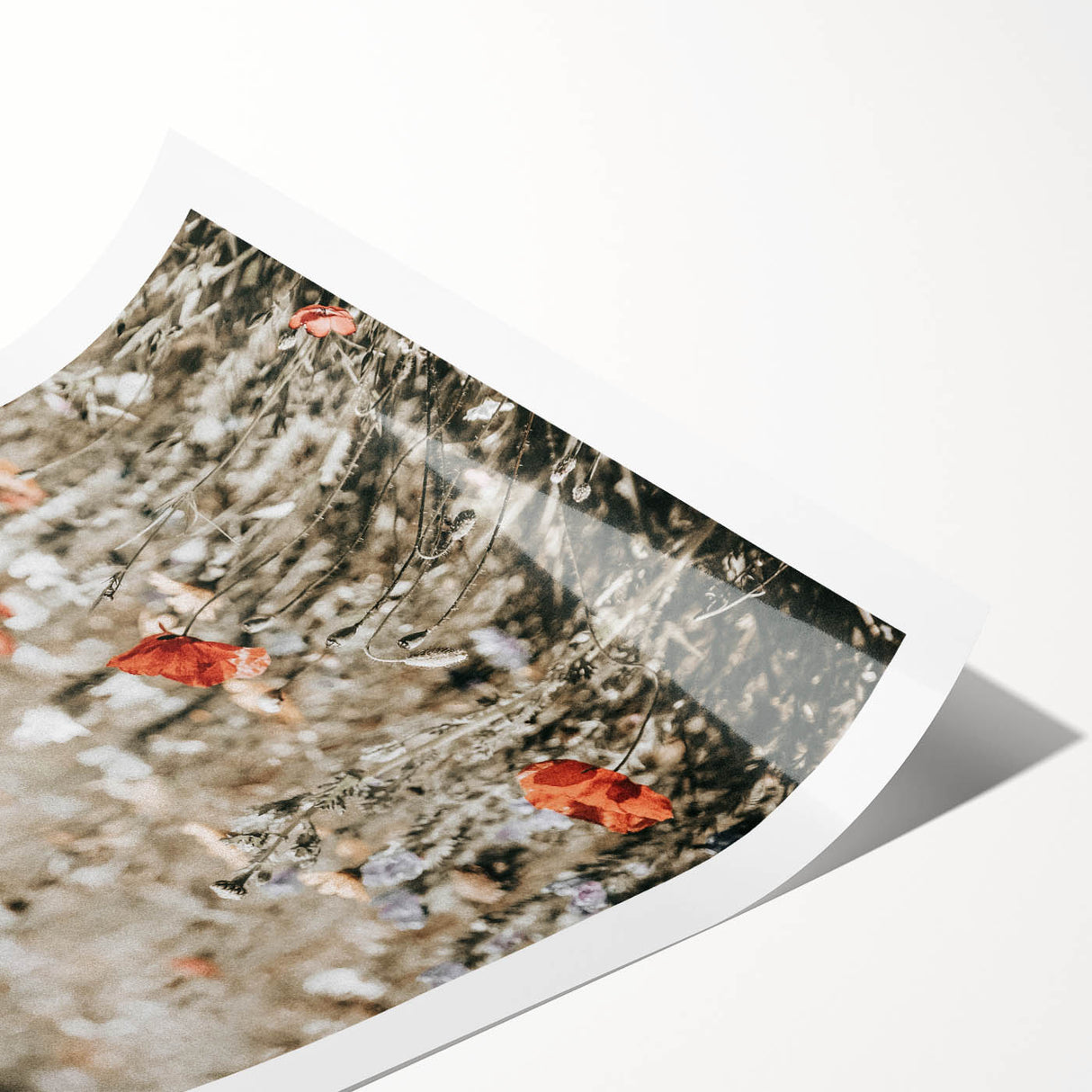 Wildflower Meadow Wall Art | Rustic Farmhouse Decor for Nature Lovers