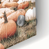 Rustic Pumpkin Harvest Wall Art | Farmhouse Decor for Fall Homes