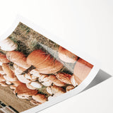 Rustic Pumpkin Harvest Wall Art | Farmhouse Decor for Fall Homes