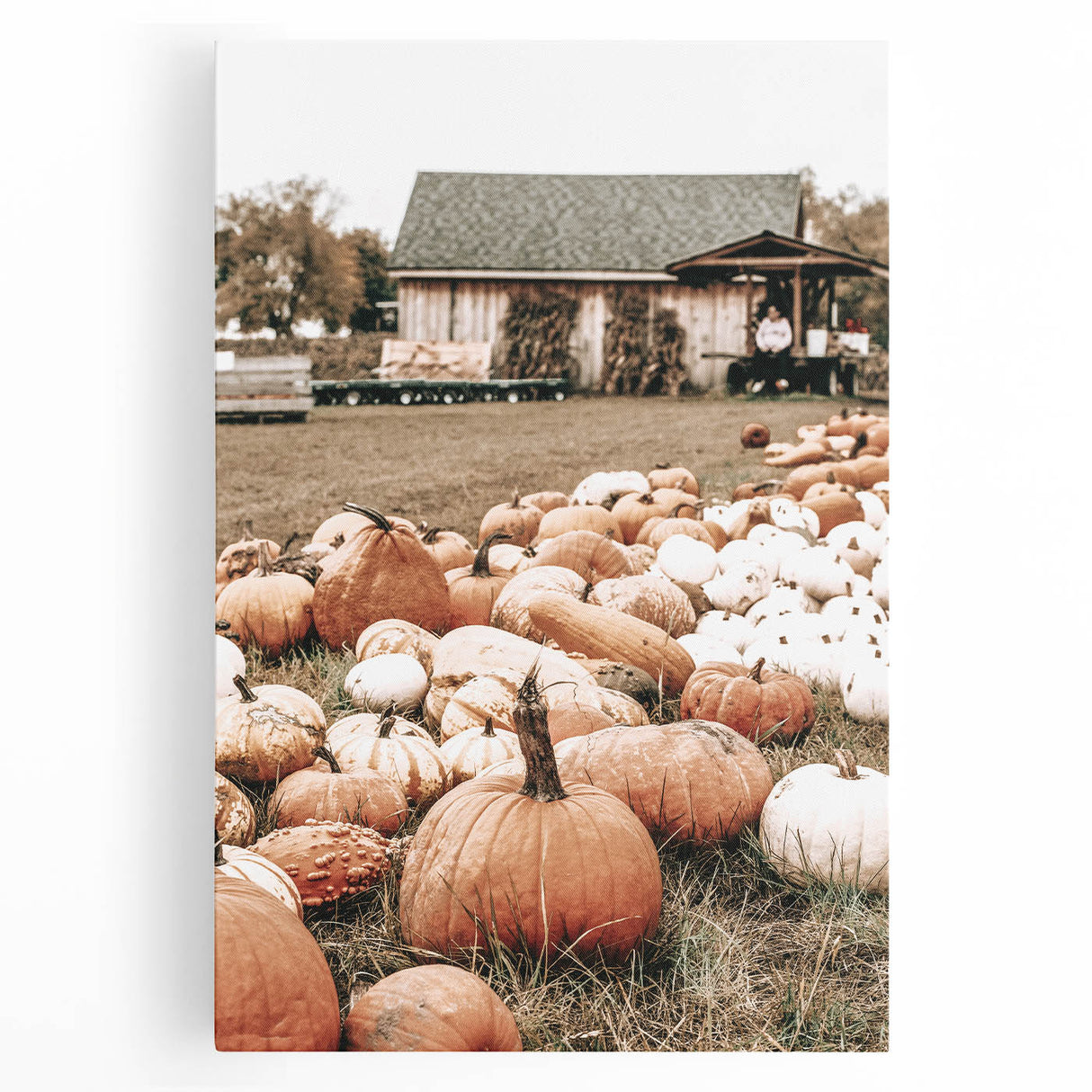 Rustic Pumpkin Harvest Wall Art | Farmhouse Decor for Fall Homes