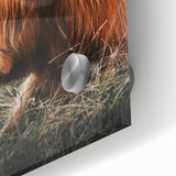 Highland Cow Farmhouse Wall Art | Rustic Country Decor | Animal Print