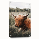 Highland Cow Farmhouse Wall Art | Rustic Country Decor | Animal Print