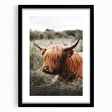 Highland Cow Farmhouse Wall Art | Rustic Country Decor | Animal Print