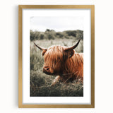 Highland Cow Farmhouse Wall Art | Rustic Country Decor | Animal Print