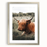 Highland Cow Farmhouse Wall Art | Rustic Country Decor | Animal Print