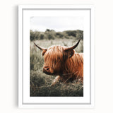 Highland Cow Farmhouse Wall Art | Rustic Country Decor | Animal Print