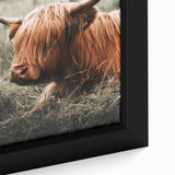 Highland Cow Farmhouse Wall Art | Rustic Country Decor | Animal Print