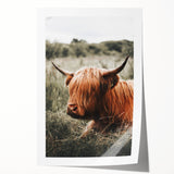 Highland Cow Farmhouse Wall Art | Rustic Country Decor | Animal Print