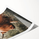 Highland Cow Farmhouse Wall Art | Rustic Country Decor | Animal Print