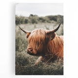 Highland Cow Farmhouse Wall Art | Rustic Country Decor | Animal Print