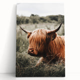 Highland Cow Farmhouse Wall Art | Rustic Country Decor | Animal Print