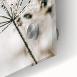 Frosted Wildflower Wall Art | Rustic Farmhouse Decor for Serene Spaces