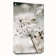 Frosted Wildflower Wall Art | Rustic Farmhouse Decor for Serene Spaces