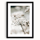 Frosted Wildflower Wall Art | Rustic Farmhouse Decor for Serene Spaces