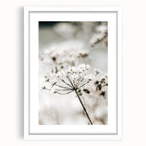 Frosted Wildflower Wall Art | Rustic Farmhouse Decor for Serene Spaces