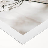 Frosted Wildflower Wall Art | Rustic Farmhouse Decor for Serene Spaces