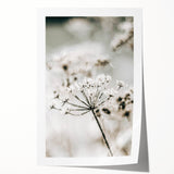 Frosted Wildflower Wall Art | Rustic Farmhouse Decor for Serene Spaces