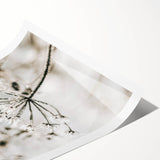 Frosted Wildflower Wall Art | Rustic Farmhouse Decor for Serene Spaces