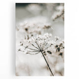 Frosted Wildflower Wall Art | Rustic Farmhouse Decor for Serene Spaces