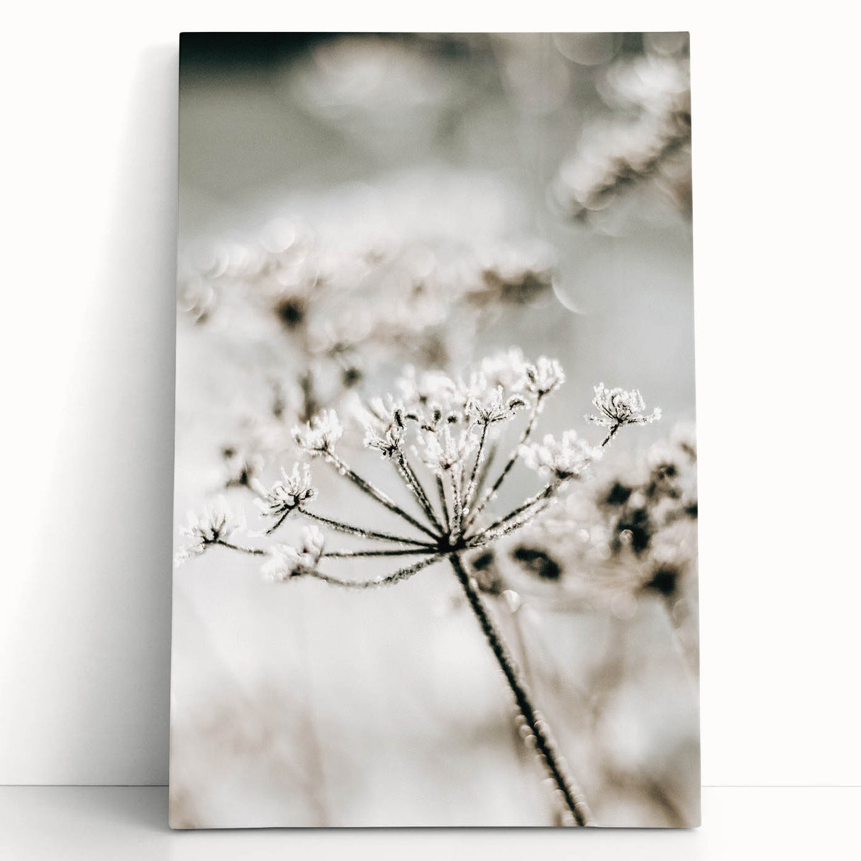 Frosted Wildflower Wall Art | Rustic Farmhouse Decor for Serene Spaces