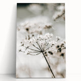 Frosted Wildflower Wall Art | Rustic Farmhouse Decor for Serene Spaces