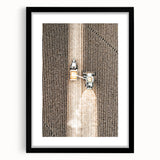 Aerial Tractor in Field Wall Art | Rustic Farmhouse Decor for Country Homes