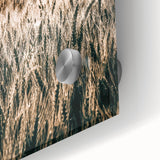 Golden Wheat Field Farmhouse Wall Art - Rustic Country Style Decor