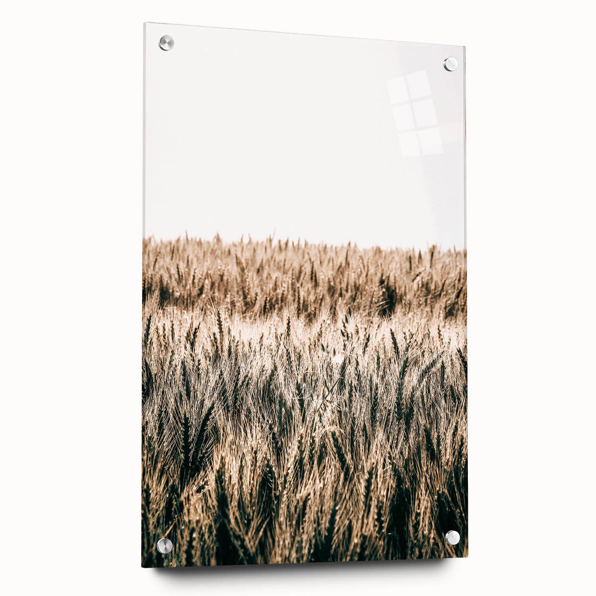 Golden Wheat Field Farmhouse Wall Art - Rustic Country Style Decor