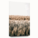 Golden Wheat Field Farmhouse Wall Art - Rustic Country Style Decor