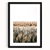 Golden Wheat Field Farmhouse Wall Art - Rustic Country Style Decor