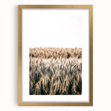Golden Wheat Field Farmhouse Wall Art - Rustic Country Style Decor