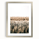 Golden Wheat Field Farmhouse Wall Art - Rustic Country Style Decor
