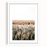 Golden Wheat Field Farmhouse Wall Art - Rustic Country Style Decor