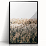 Golden Wheat Field Farmhouse Wall Art - Rustic Country Style Decor