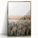 Golden Wheat Field Farmhouse Wall Art - Rustic Country Style Decor
