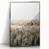 Golden Wheat Field Farmhouse Wall Art - Rustic Country Style Decor