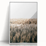 Golden Wheat Field Farmhouse Wall Art - Rustic Country Style Decor