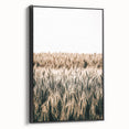 Golden Wheat Field Farmhouse Wall Art - Rustic Country Style Decor