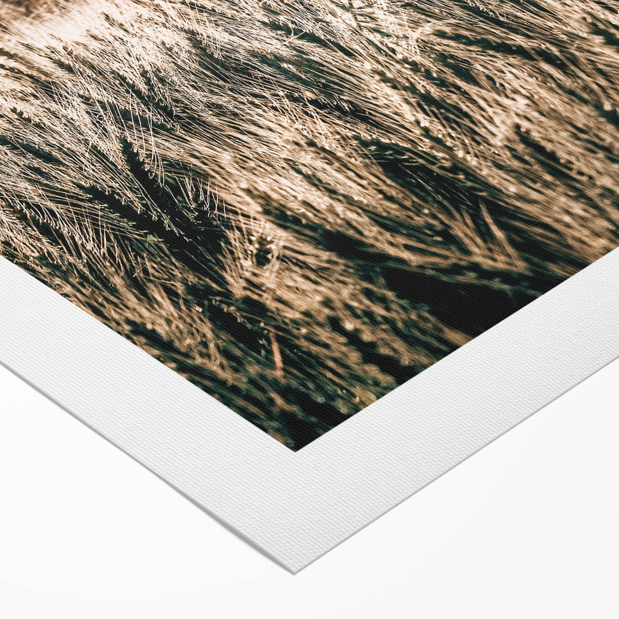 Golden Wheat Field Farmhouse Wall Art - Rustic Country Style Decor
