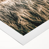 Golden Wheat Field Farmhouse Wall Art - Rustic Country Style Decor