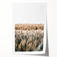 Golden Wheat Field Farmhouse Wall Art - Rustic Country Style Decor