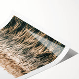 Golden Wheat Field Farmhouse Wall Art - Rustic Country Style Decor