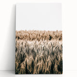 Golden Wheat Field Farmhouse Wall Art - Rustic Country Style Decor